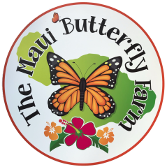 The Maui Butterfly Farm