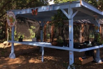 a person standing in front of a house