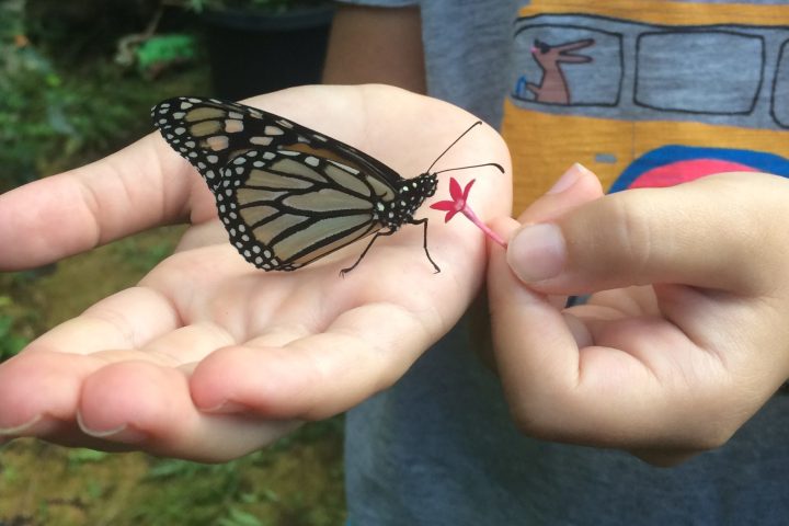 a hand holding an object in his hand